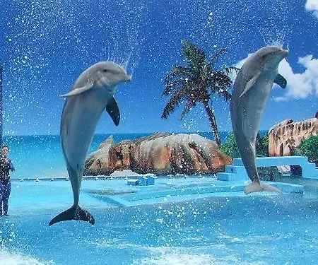 Jazzy Cool Near White Beaches Apartmán