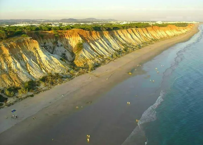 Jazzy Cool Near White Beaches *